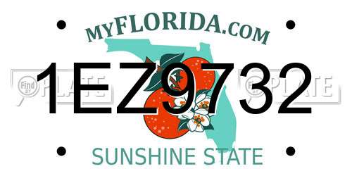1EZ9732 Florida License Plate