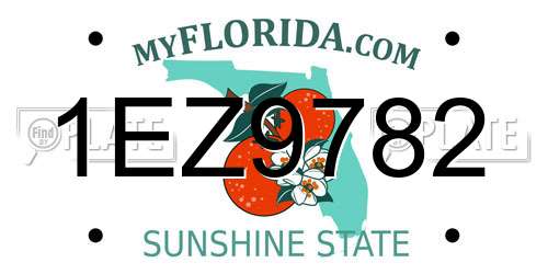 1EZ9782 Florida License Plate