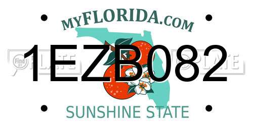 1EZB082 Florida License Plate