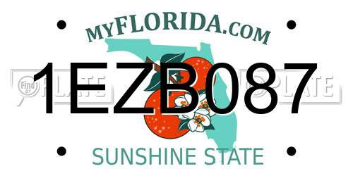1EZB087 Florida License Plate