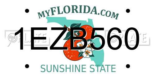 1EZB560 Florida License Plate