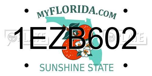 1EZB602 Florida License Plate
