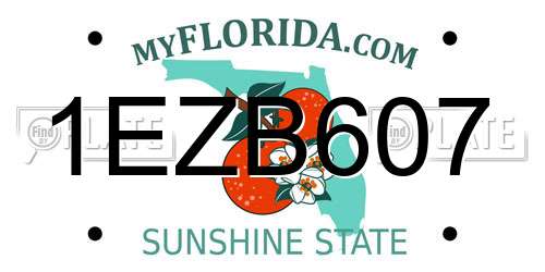1EZB607 Florida License Plate