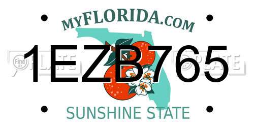 1EZB765 Florida License Plate
