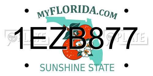 1EZB877 Florida License Plate