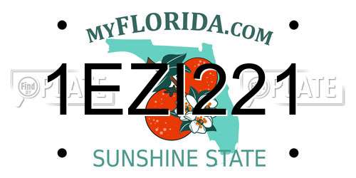 1EZI221 Florida License Plate