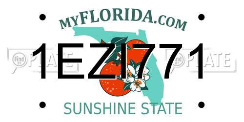 1EZI771 Florida License Plate