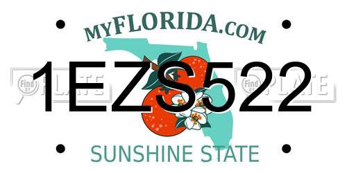 1EZS522 Florida License Plate