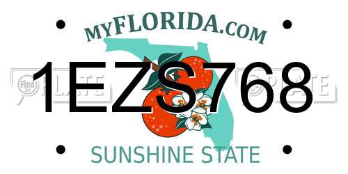 1EZS768 Florida License Plate