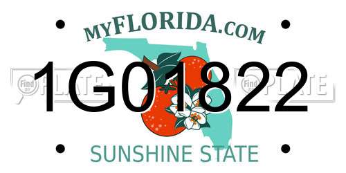 1G01822 Florida License Plate