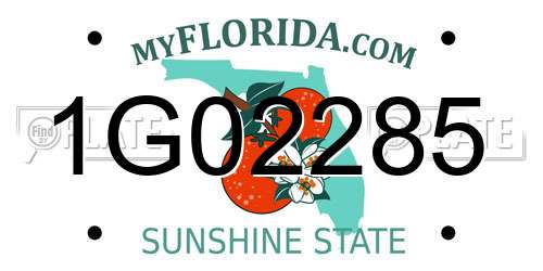 1G02285 Florida License Plate