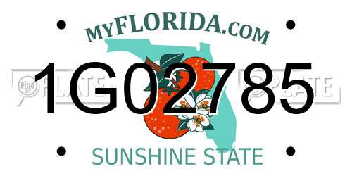 1G02785 Florida License Plate