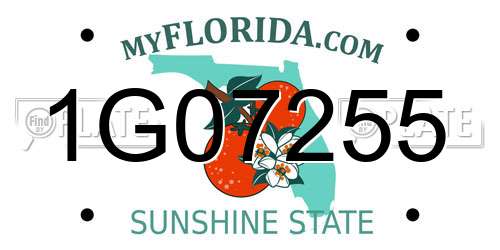 1G07255 Florida License Plate