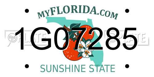 1G07285 Florida License Plate