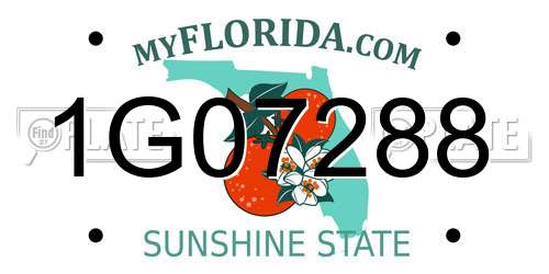 1G07288 Florida License Plate