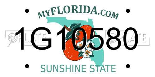 1G10580 Florida License Plate