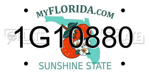 1G10880 Florida License Plate