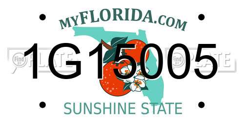 1G15005 Florida License Plate
