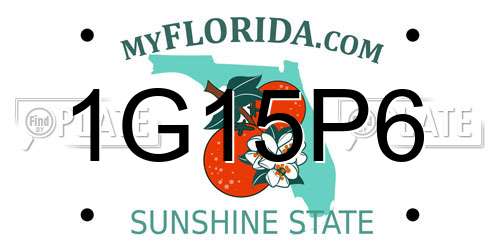 1G15P6 Florida License Plate