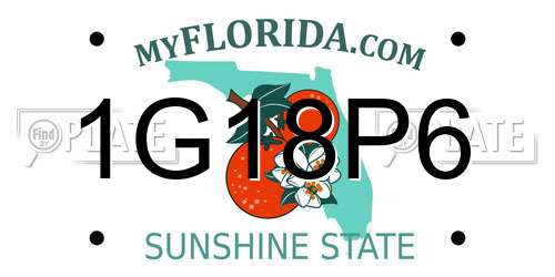 1G18P6 Florida License Plate