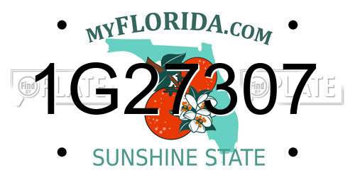 1G27307 Florida License Plate
