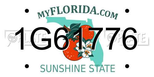 1G61776 Florida License Plate
