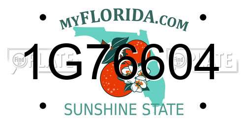 1G76604 Florida License Plate
