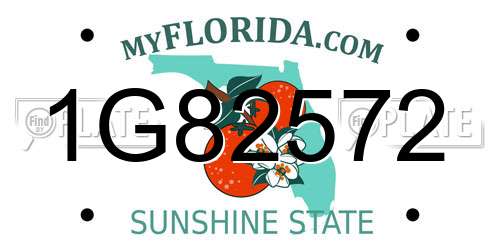 1G82572 Florida License Plate