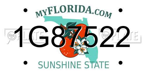 1G87522 Florida License Plate
