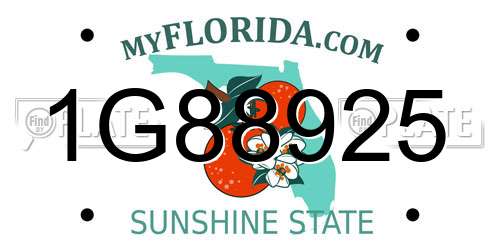1G88925 Florida License Plate