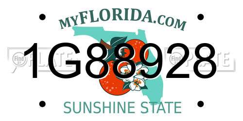 1G88928 Florida License Plate