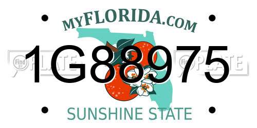 1G88975 Florida License Plate