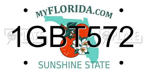 1GBT572 Florida License Plate