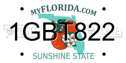1GBT822 Florida License Plate