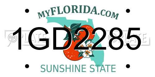 1GD2285 Florida License Plate