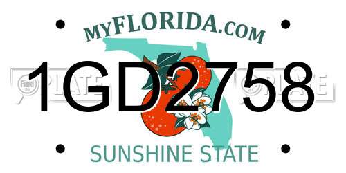 1GD2758 Florida License Plate