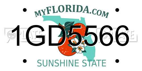1GD5566 Florida License Plate