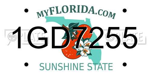 1GD7255 Florida License Plate