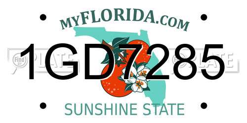 1GD7285 Florida License Plate