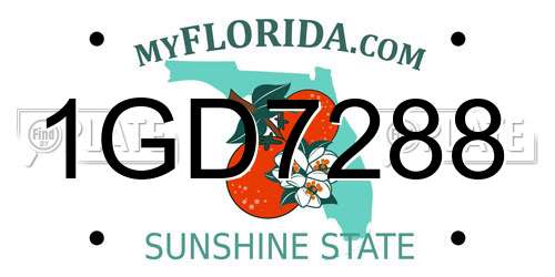 1GD7288 Florida License Plate