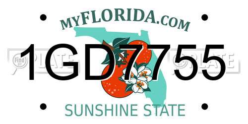 1GD7755 Florida License Plate