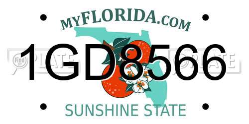 1GD8566 Florida License Plate