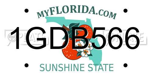 1GDB566 Florida License Plate