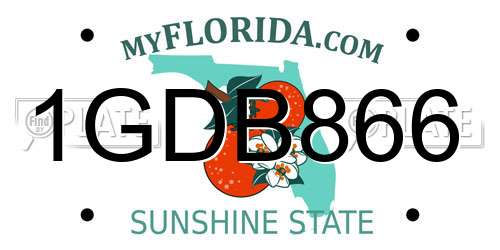 1GDB866 Florida License Plate