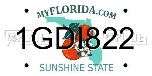 1GDI822 Florida License Plate