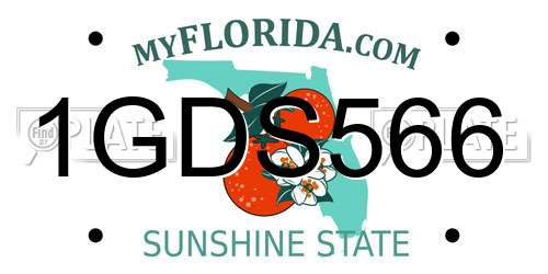1GDS566 Florida License Plate
