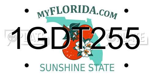 1GDT255 Florida License Plate