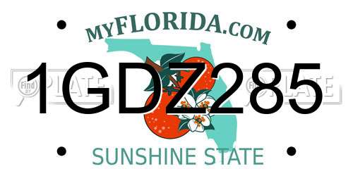 1GDZ285 Florida License Plate