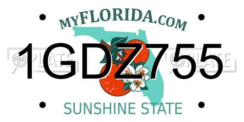 1GDZ755 Florida License Plate
