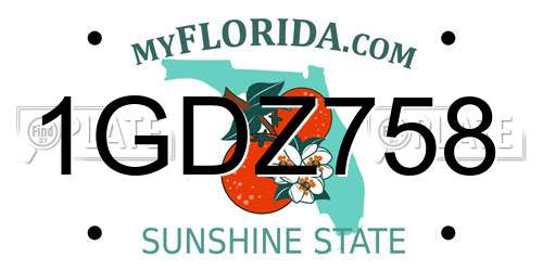 1GDZ758 Florida License Plate